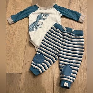 Burt’s Bees Baby Boy - 0-3 Month - like new